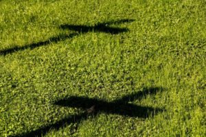 Altenburger Friedhof (Foto: ABG-Info)