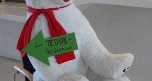 Herzlich willkommen zum Teddy-Krankenhaus (Foto: Ilka Schiwek)