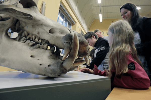 Altenburger Kindermuseumsnacht im Naturkundemuseum Mauritianum, (Foto: Jens Paul Taubert)