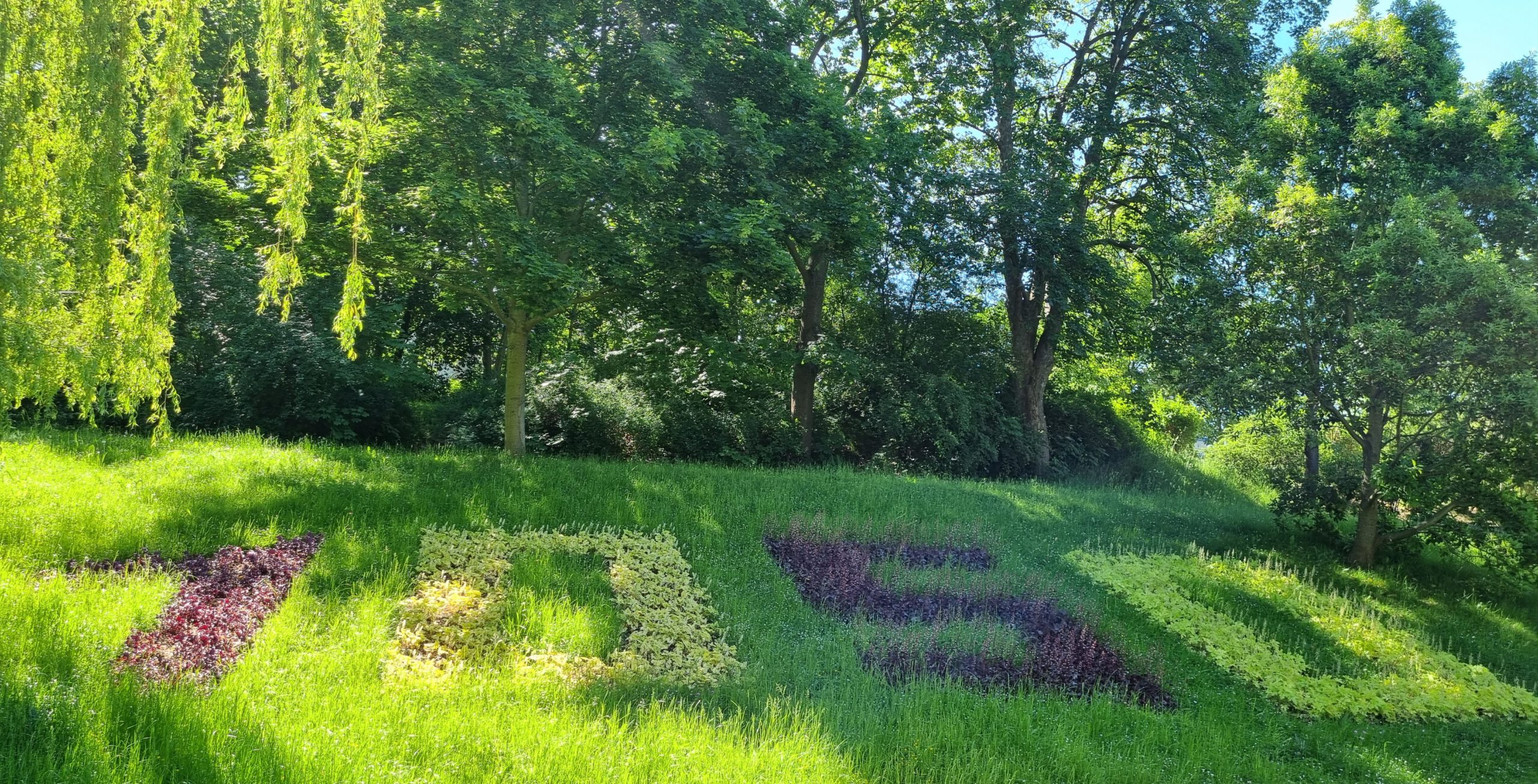 Motivbepflanzung (Foto: S. Stützner)